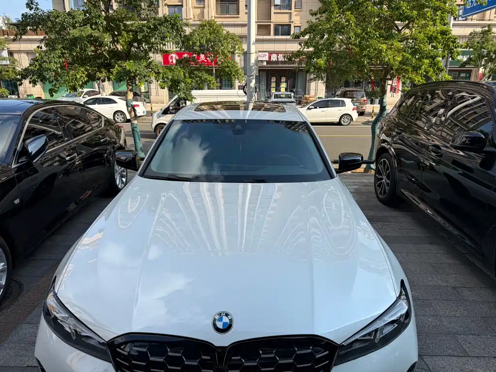 BMW 3 Series — миниатюра 2