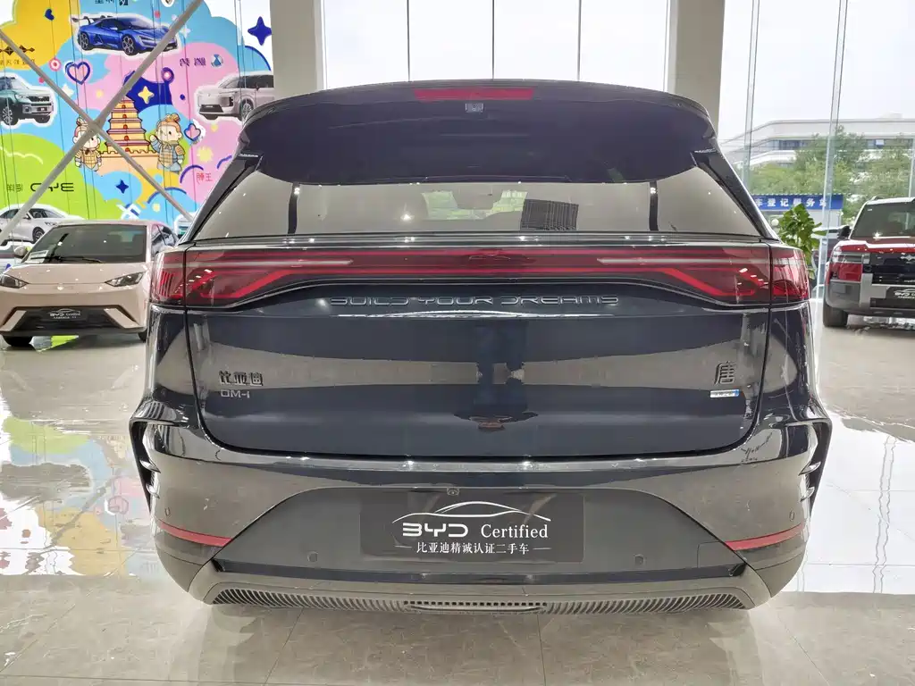 BYD Tang New Energy — миниатюра 6