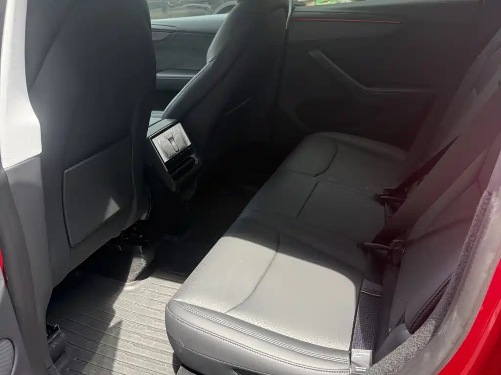 Tesla Model Y — миниатюра 7