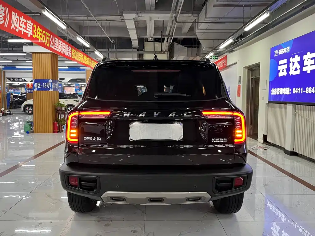 HAVAL BIG DOG