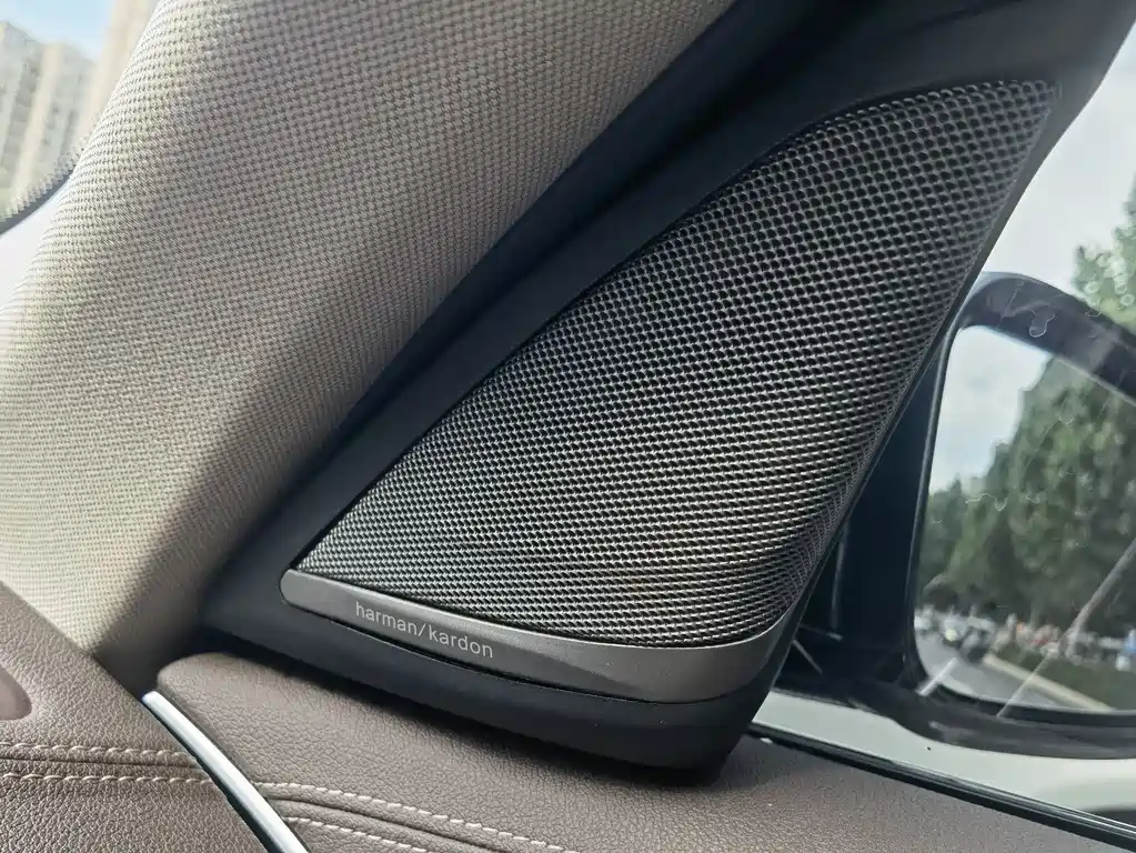 BMW 5 Series 5 2020 525Li Luxury