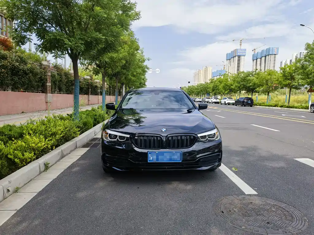 BMW 5 Series 5 2020 525Li Luxury