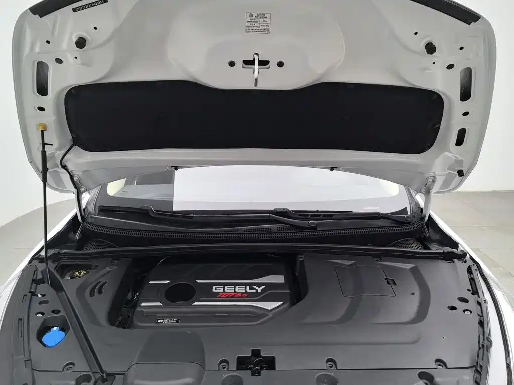 Geely Emgrand GS — миниатюра 6