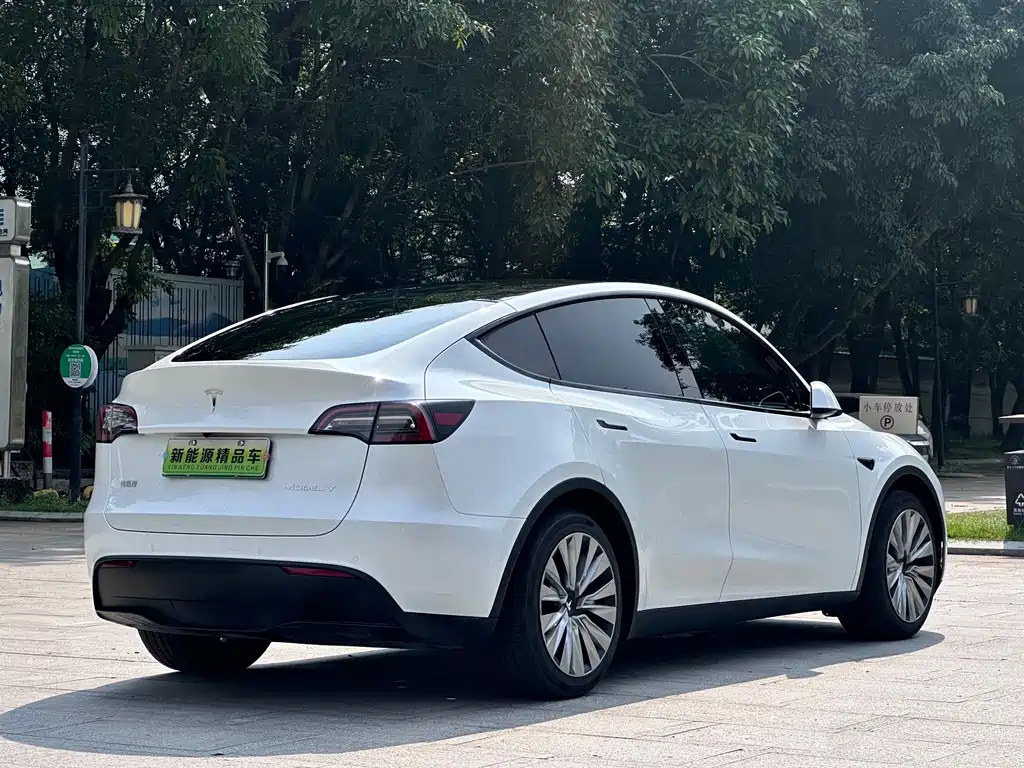 Tesla Model Y — миниатюра 5