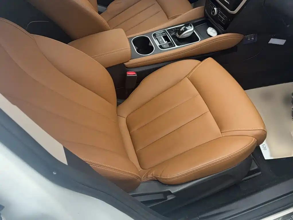BYD MAX — миниатюра 16