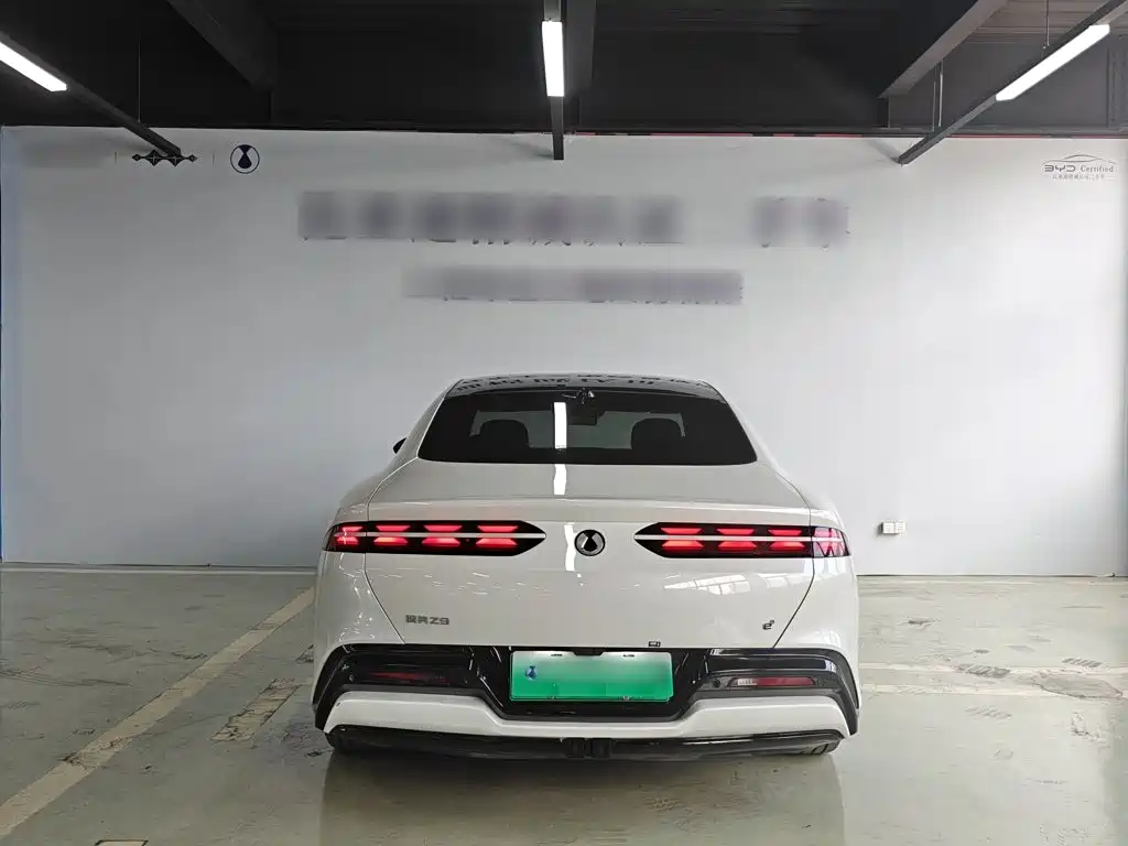 Denza Denza Z9 — миниатюра 14
