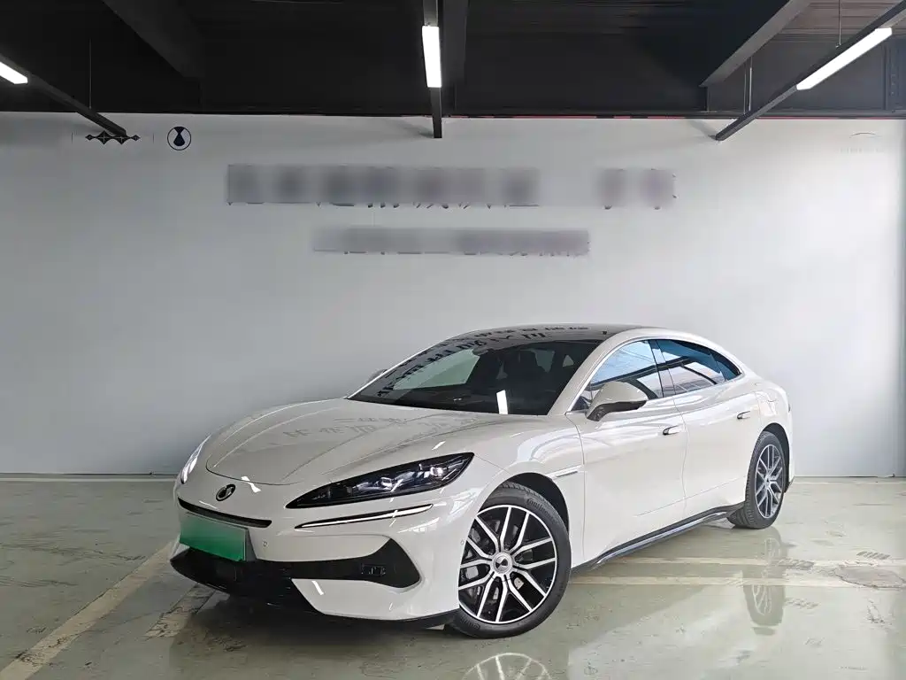 Denza Denza Z9 — миниатюра 9