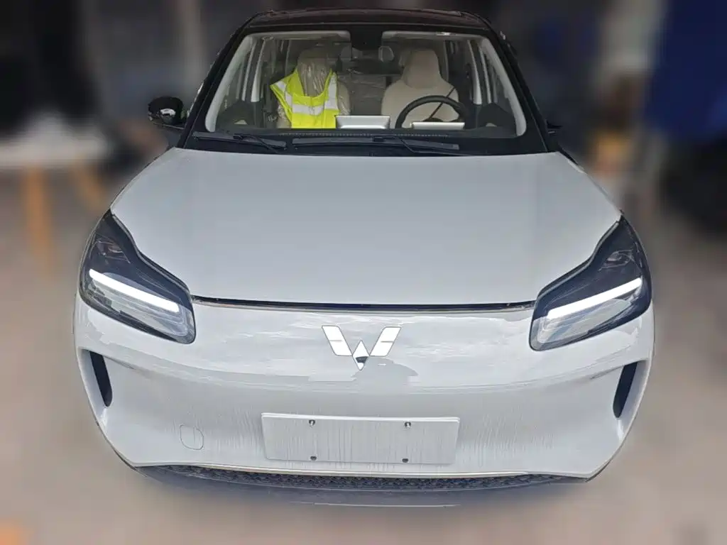 Wuling BinguoPLUS PLUS 2024 401km мест