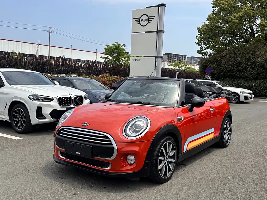 Mini Mini 2019