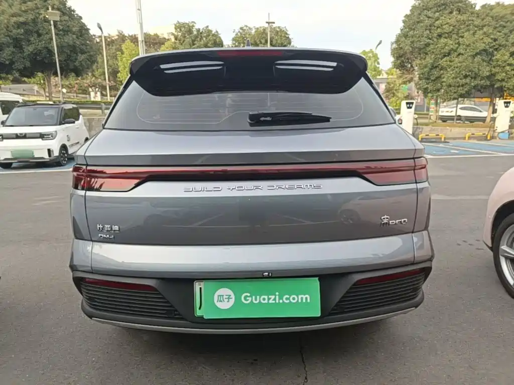 BYD Pro New Energy — миниатюра 6