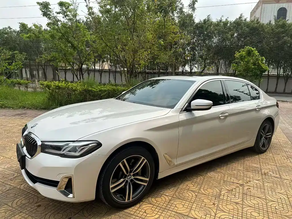 BMW 5 Series 2020