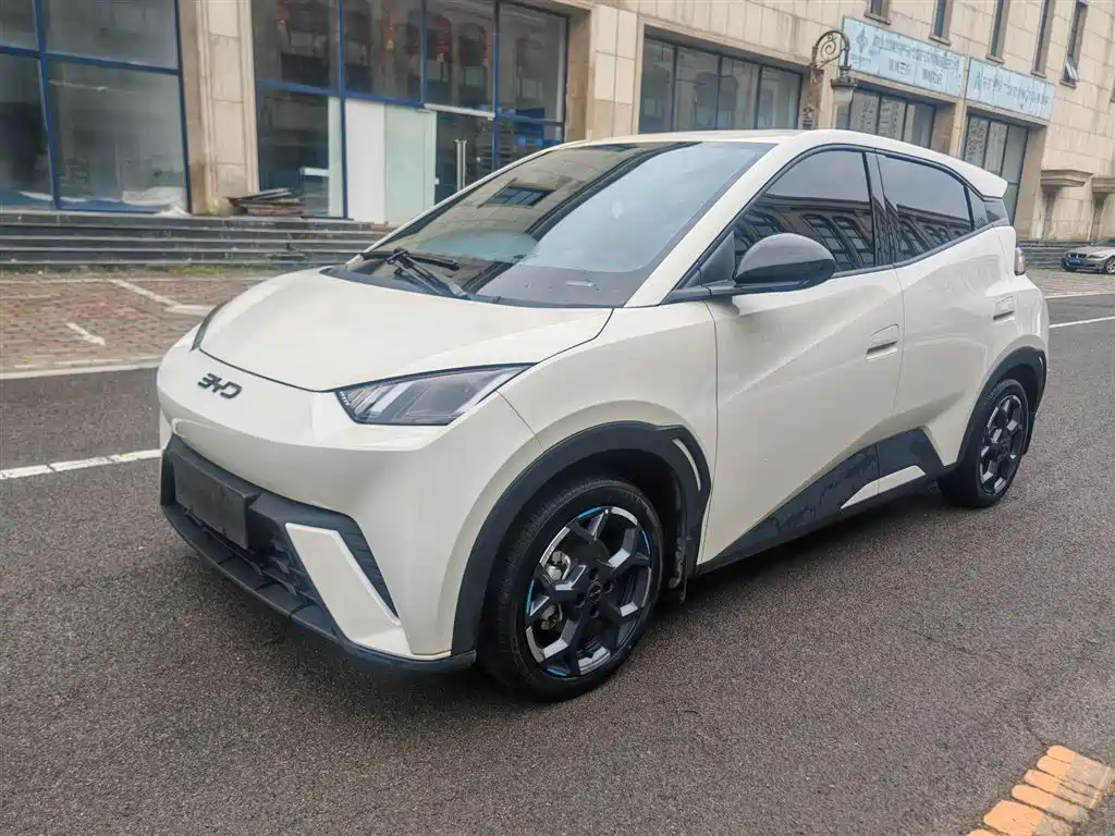 BYD Seagull 2024 305km Freedom