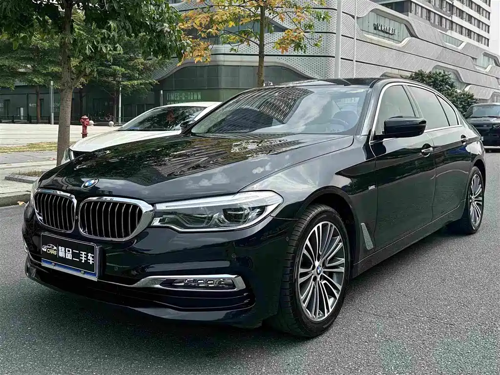 BMW 5 Series 5 2018 530Li Premium Luxury