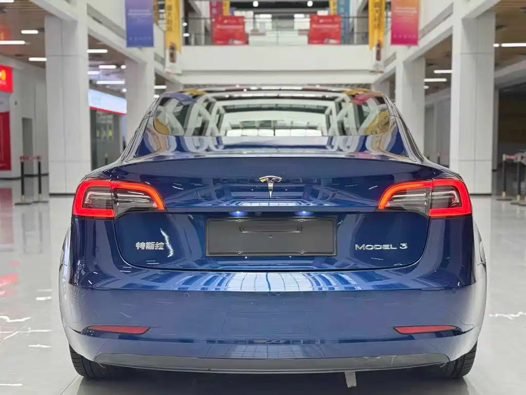 Tesla Model 3 2021 3D6
