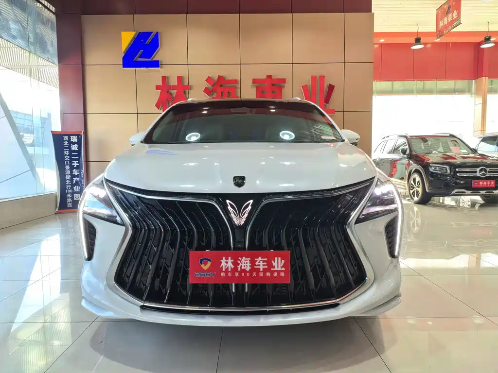 Fengxing Fengxing Yacht 2024