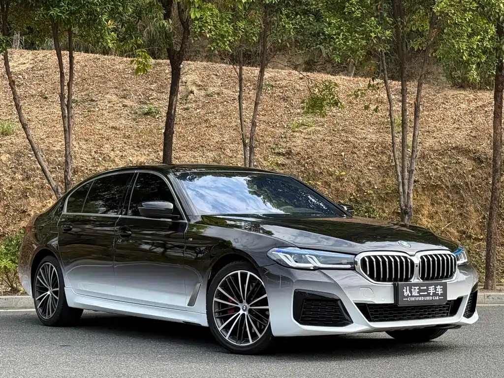 BMW 5 SERIES