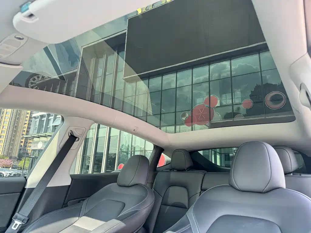 Tesla Model Y — миниатюра 24