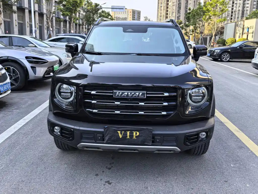 HAVAL BIG DOG
