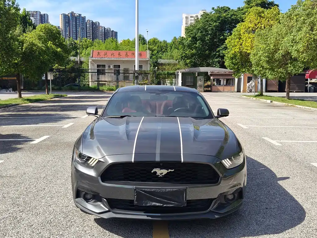 Ford Mustang — миниатюра 2