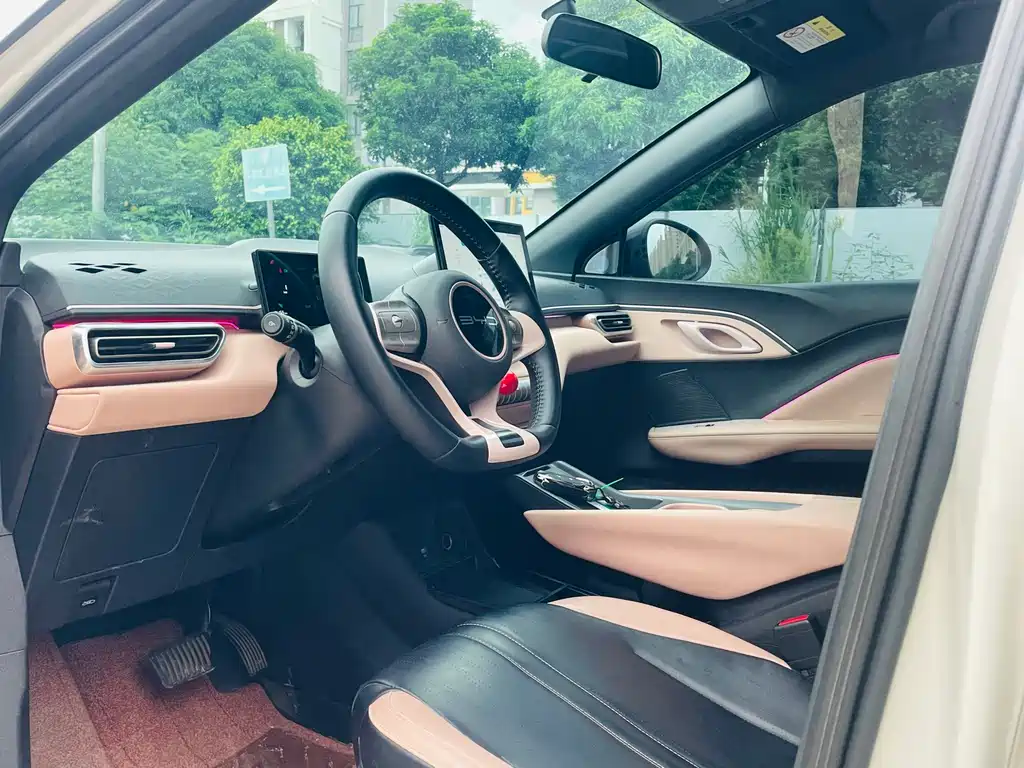 BYD Seagull 2024 405km Flying