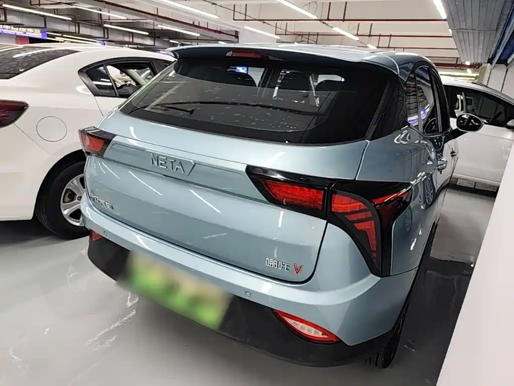 Neta Neta V — миниатюра 7