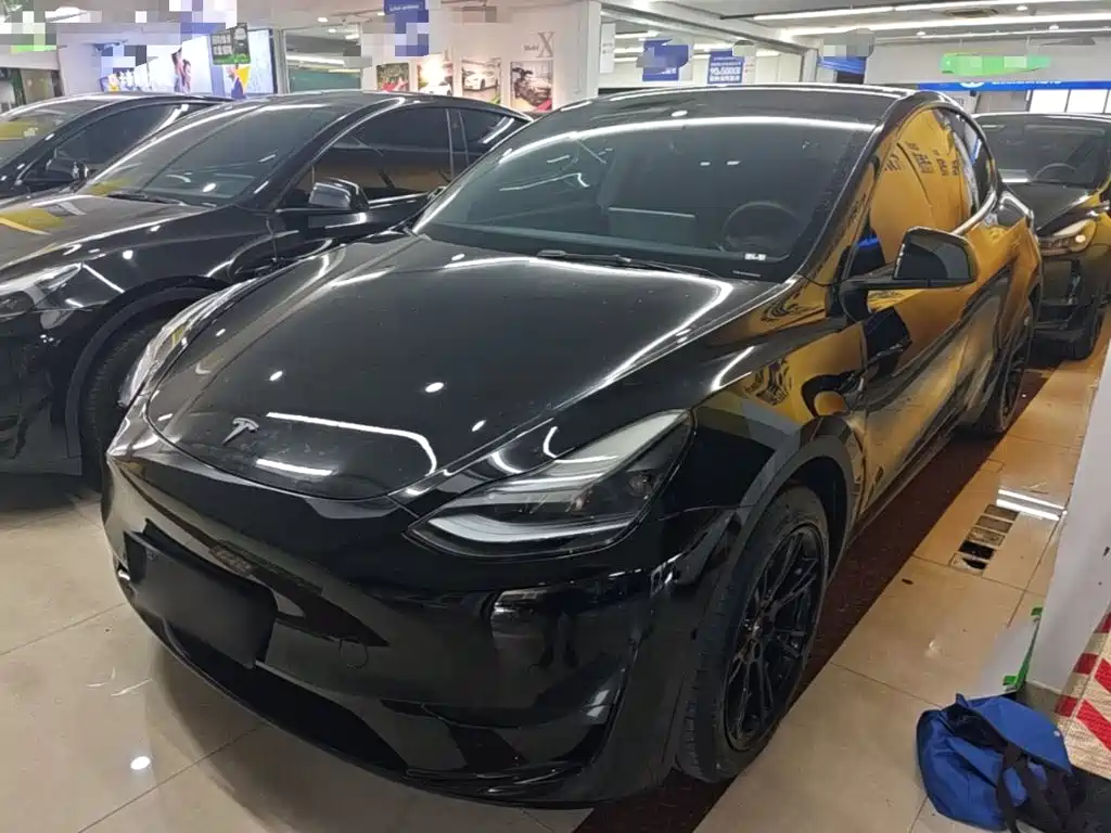 Tesla Model Y — миниатюра 2