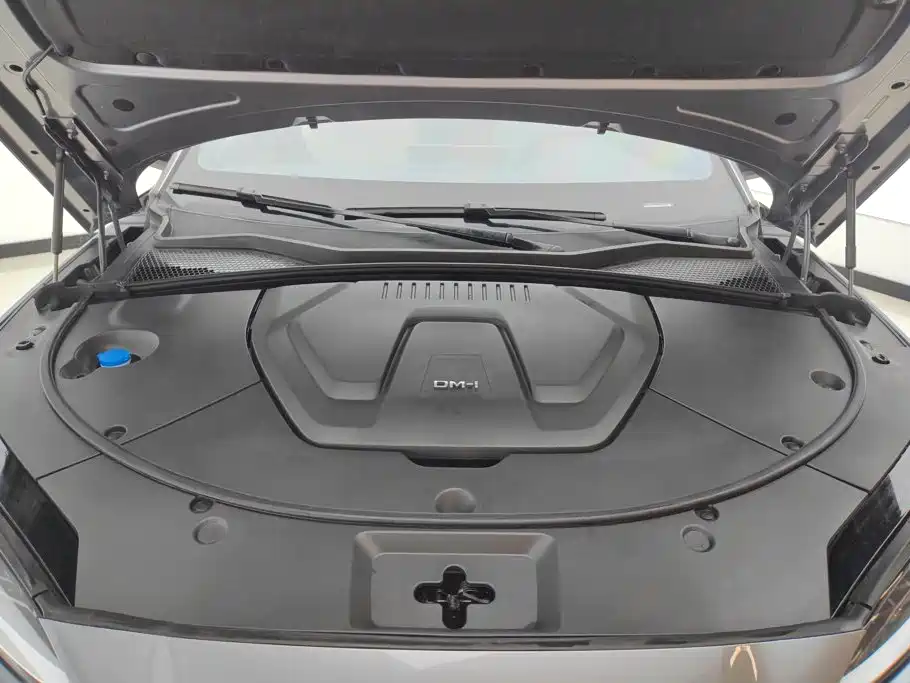 BYD PLUS New Energy — миниатюра 10