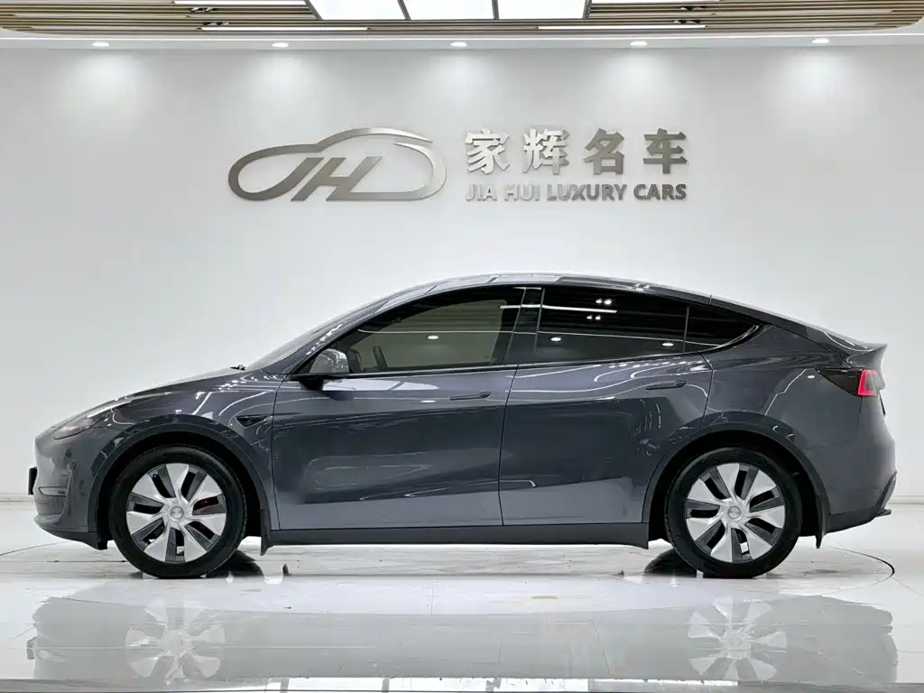 Tesla Model Y — миниатюра 4