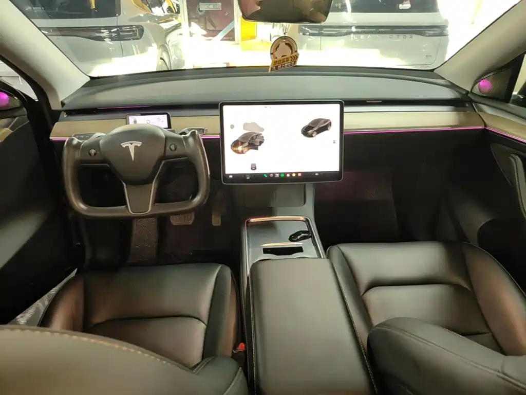 Tesla Model Y — миниатюра 10