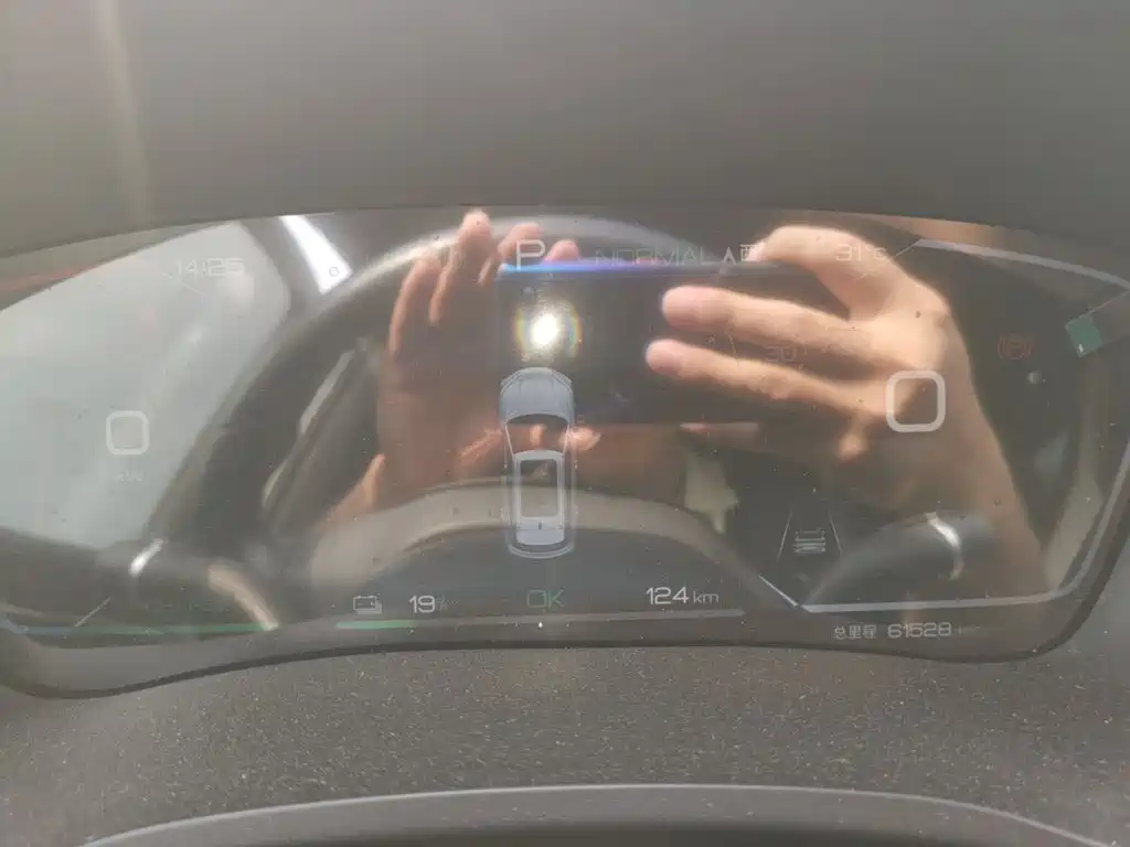 BYD PLUS New Energy — миниатюра 4