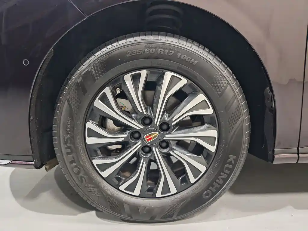 Hongqi Hongqi HQ9 — миниатюра 18