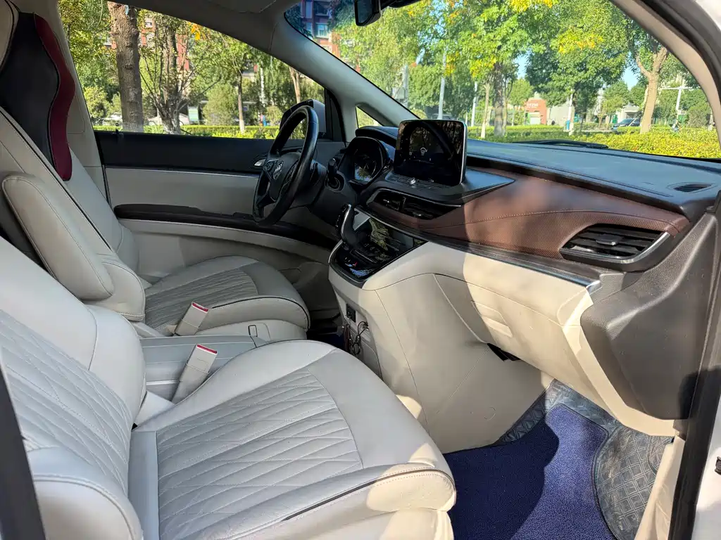 Buick GL8 — миниатюра 17