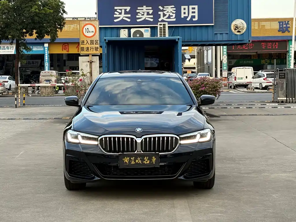 BMW 5 Series — миниатюра 2