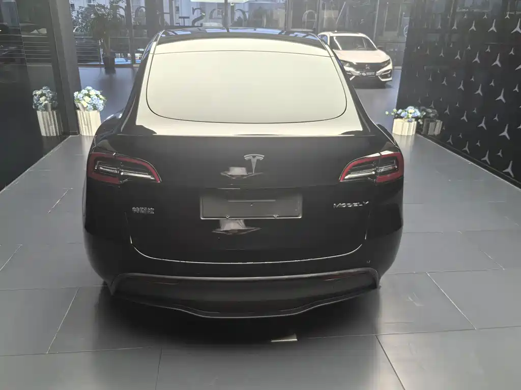 Tesla Model Y — миниатюра 8