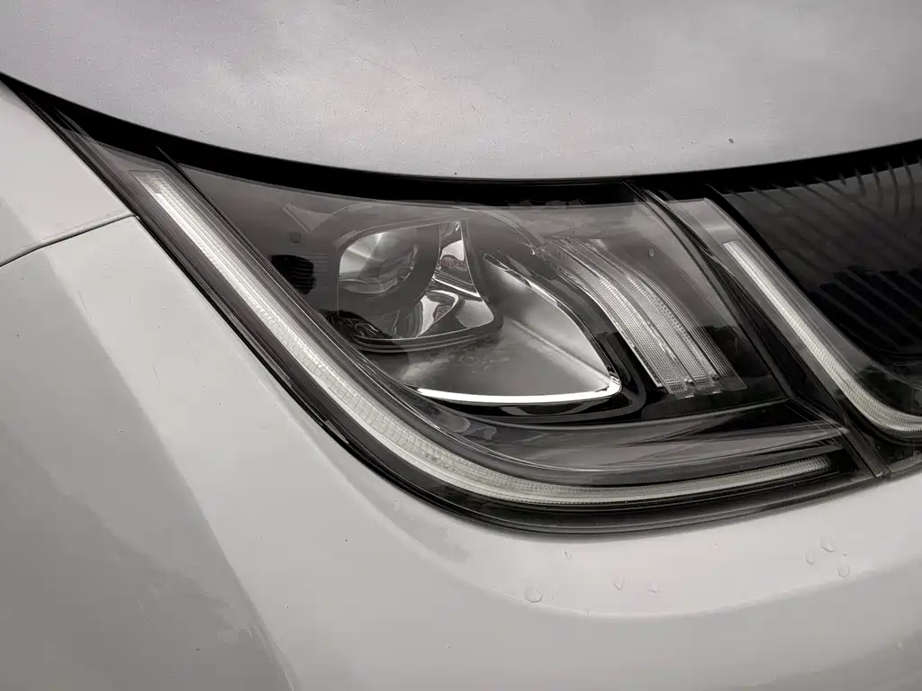 BYD Dolphin 2021 405km Fashion