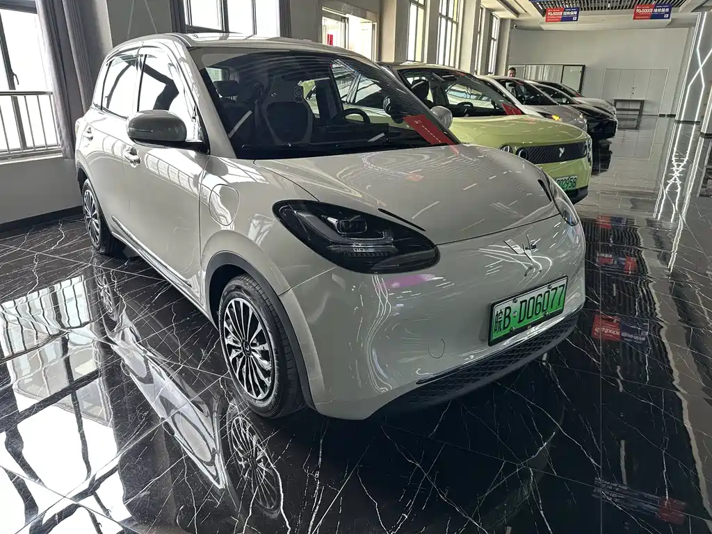 Wuling Binguo 2023 333km Enjoy +