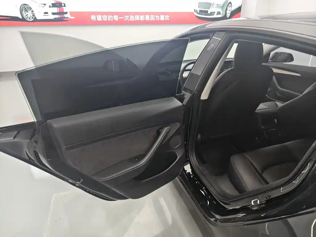 Tesla Model 3 — миниатюра 14