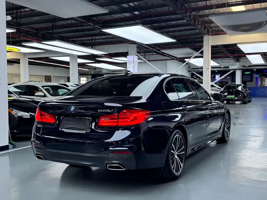 BMW 5 Series — миниатюра 19