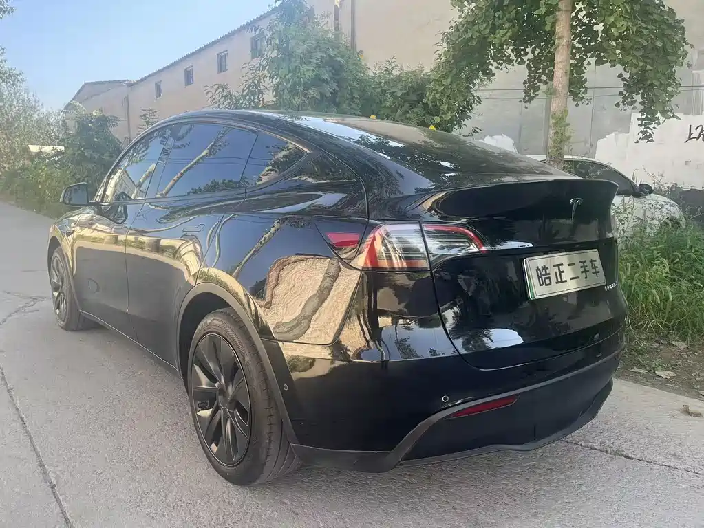 Tesla Model Y — миниатюра 5