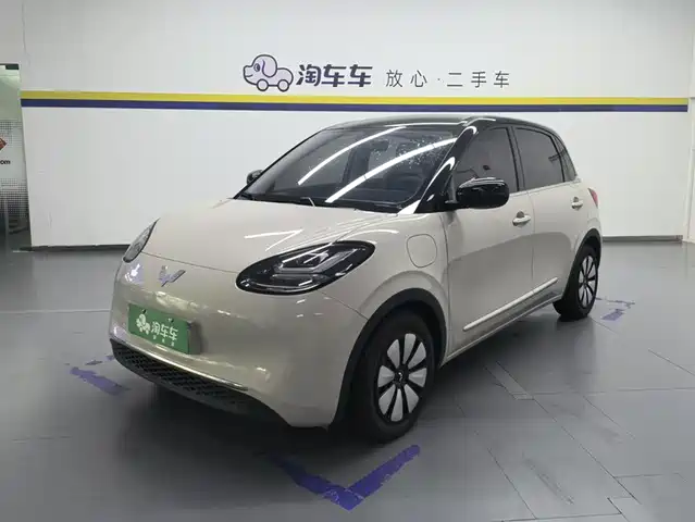 2025 Wuling Motors Binguo