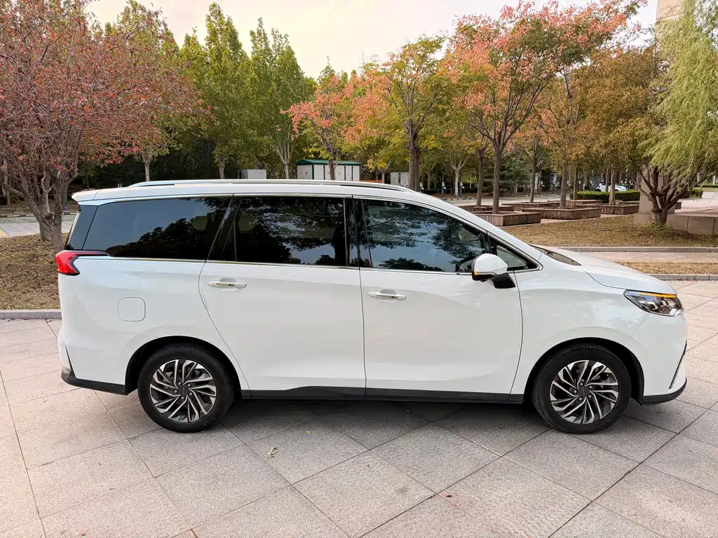 SAIC MAXUS CHASE G50