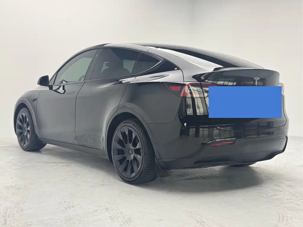 Tesla Model Y — миниатюра 9