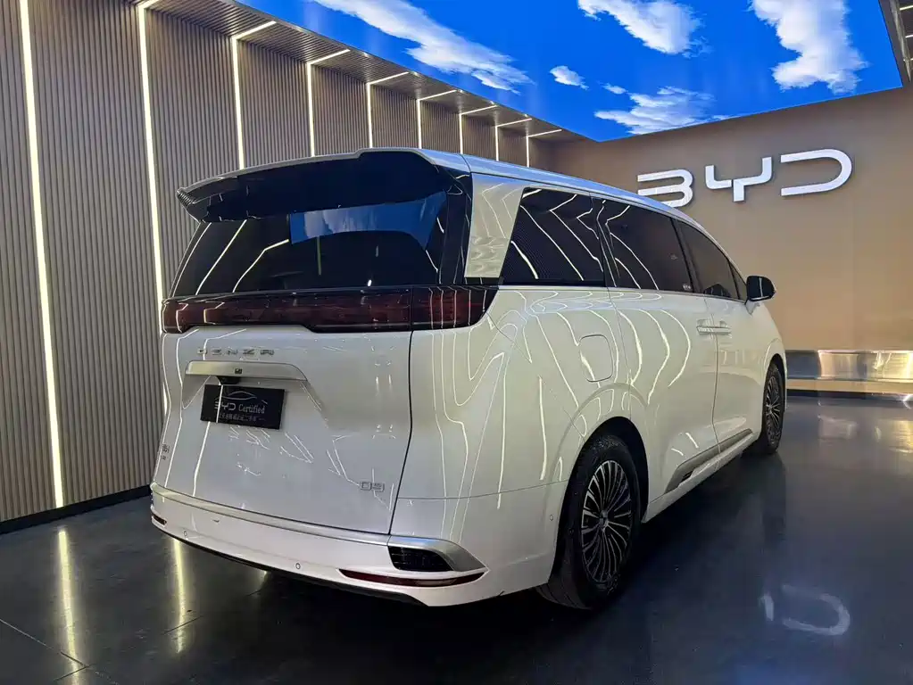 Denza Denza D9 — миниатюра 20