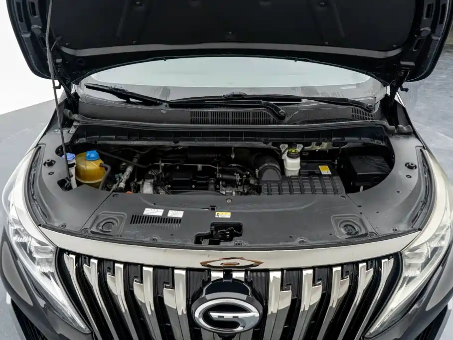 GAC Motor Trumpchi M8 — миниатюра 22