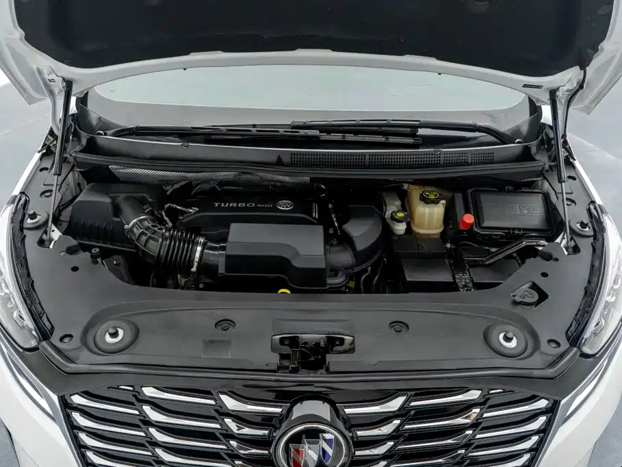 Buick GL8 — миниатюра 23