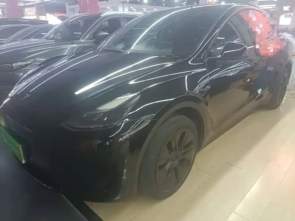 Tesla Model Y — миниатюра 2