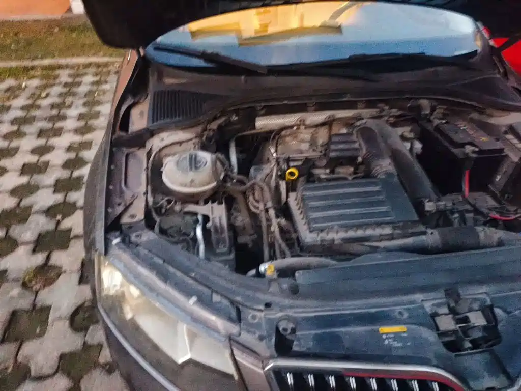 Skoda Octavia — миниатюра 19