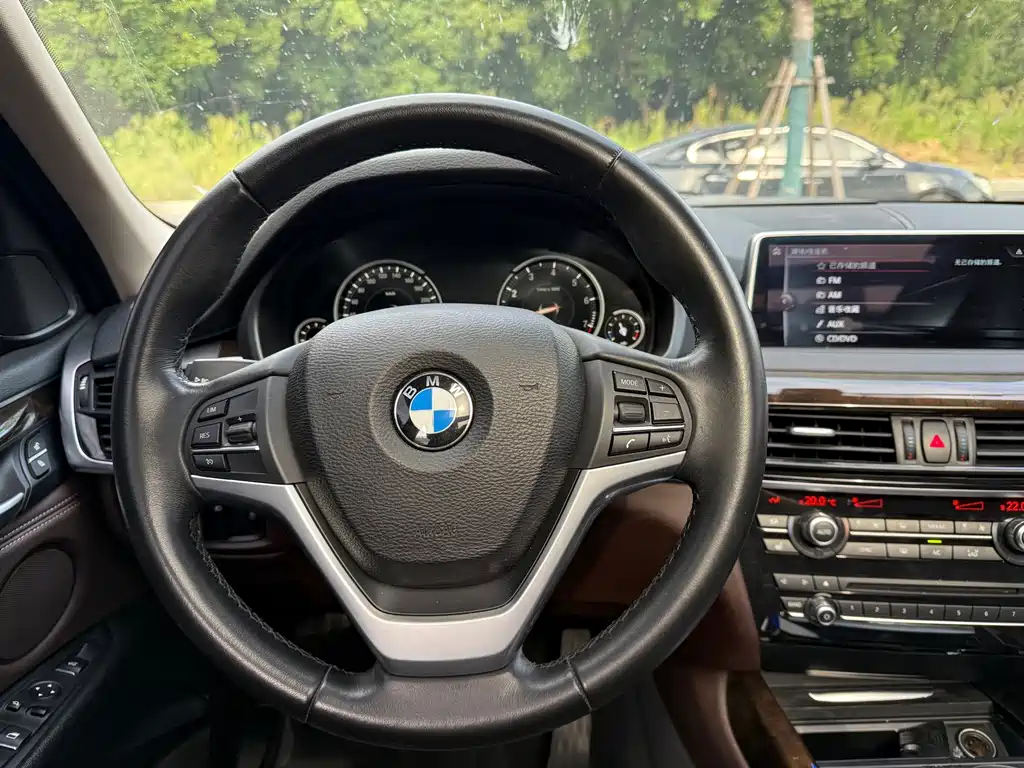 BMW X5 (Import) — миниатюра 13