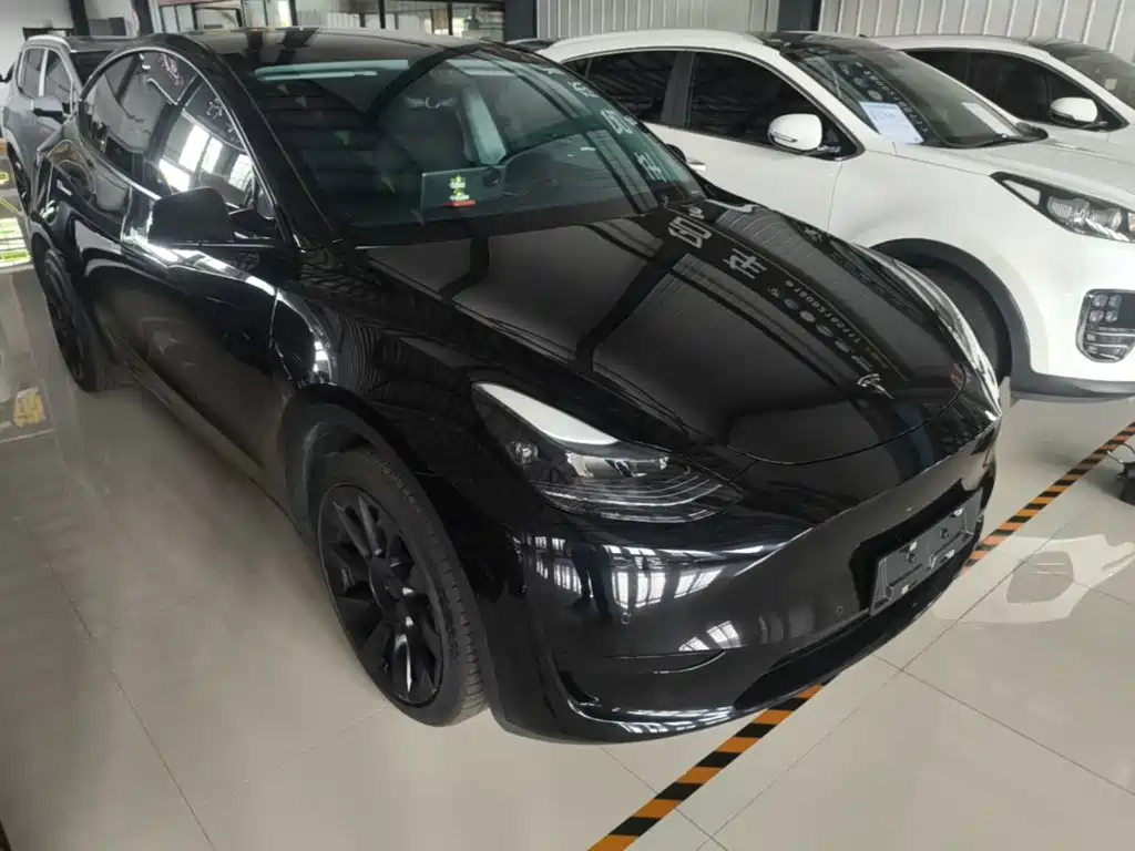 Tesla Model Y — миниатюра 4