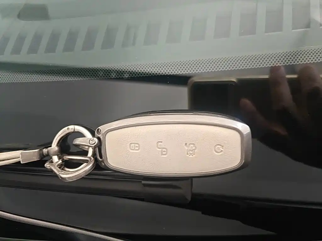 Denza Denza D9 — миниатюра 9
